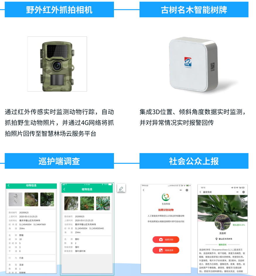 生物多樣性保護