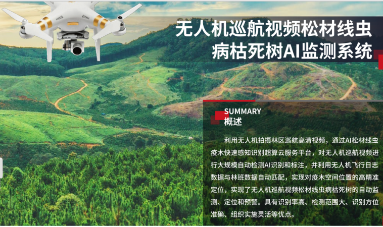 無人機巡航松材線蟲病死樹AI監(jiān)測