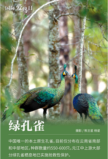 微信圖片_20220401151555