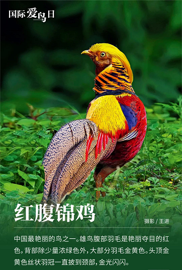 微信圖片_20220401151656
