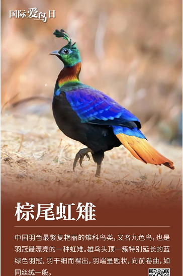 微信圖片_20220401151820
