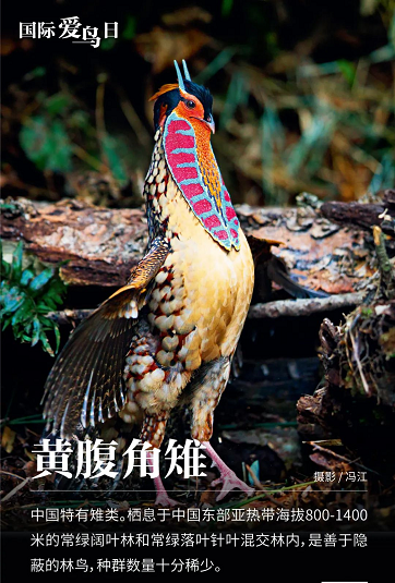 微信圖片_20220401151923