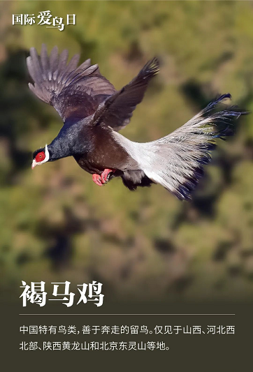 微信圖片_20220401152023