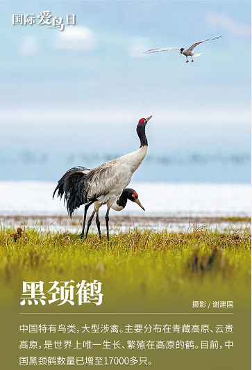 微信圖片_20220401152209
