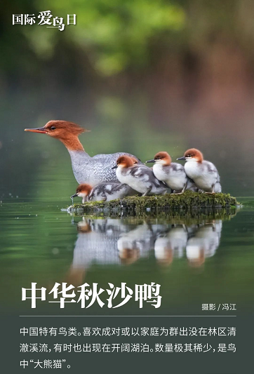 微信圖片_20220401152306