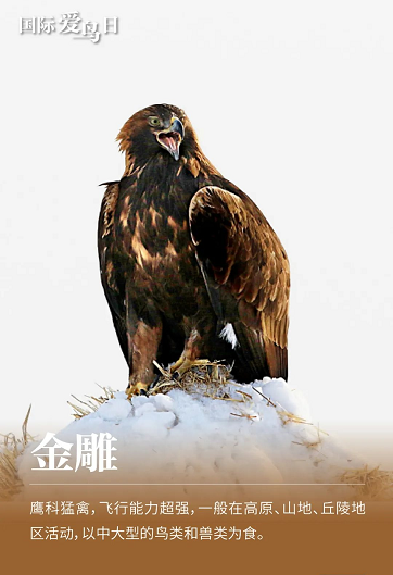 微信圖片_20220401152402