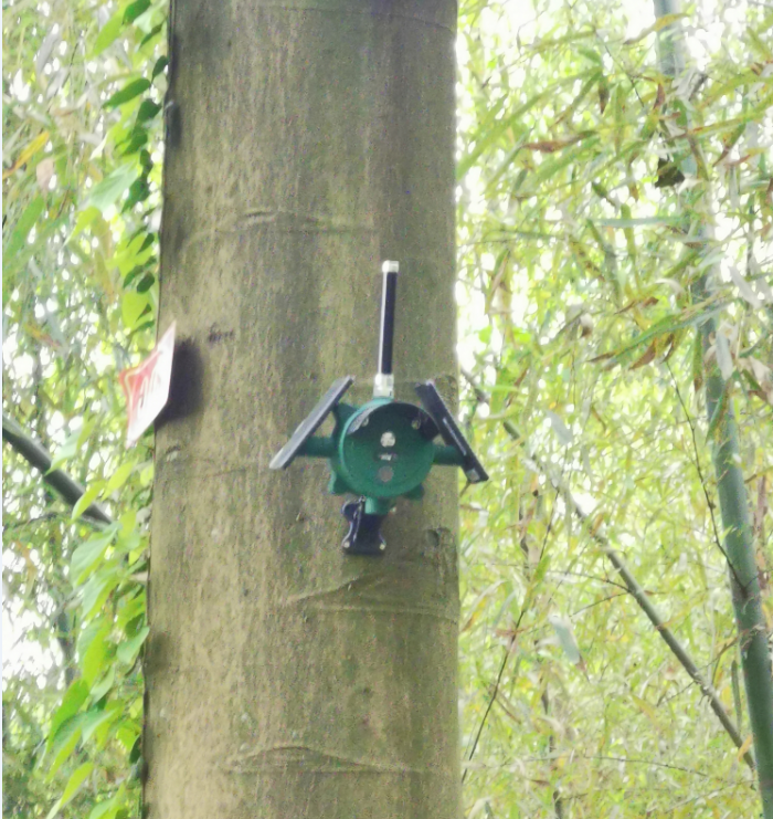 NB火災(zāi)探測器4