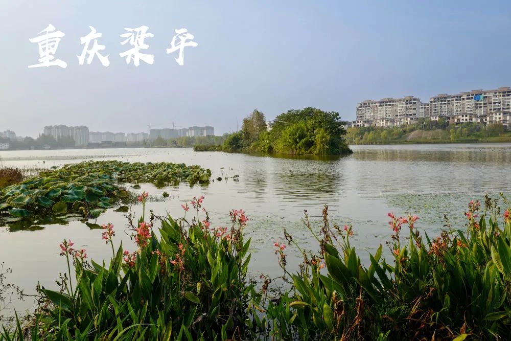 微信圖片_20221125103334