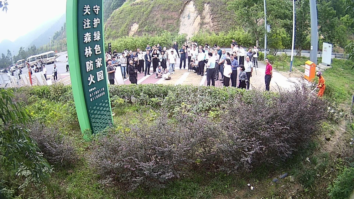 3圖片2