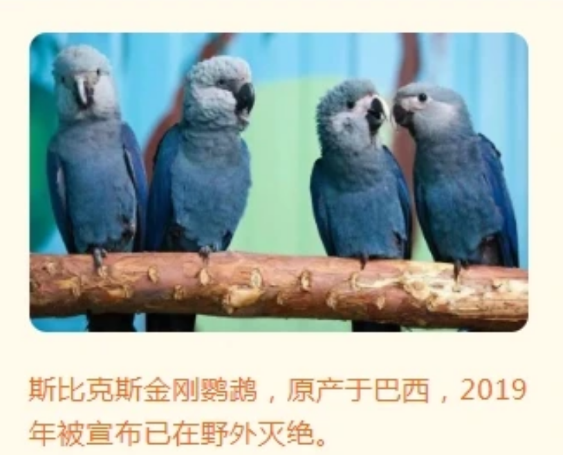 微信圖片_20240522110852