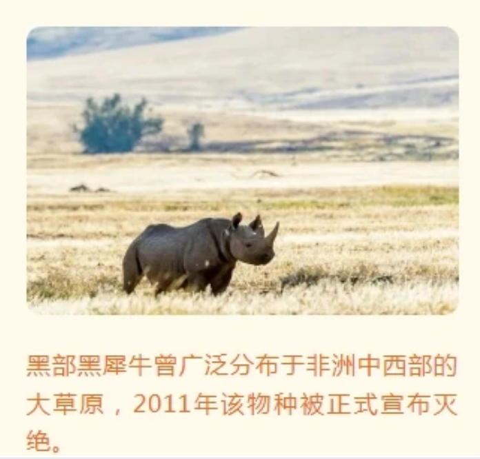 微信圖片_20240522110905
