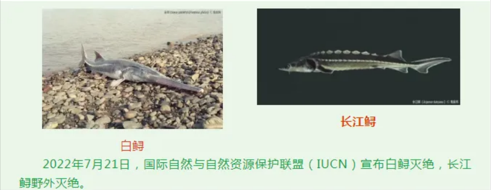 微信圖片_20240522110923